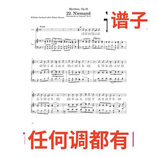 1F Niemand伴奏谱正谱声乐