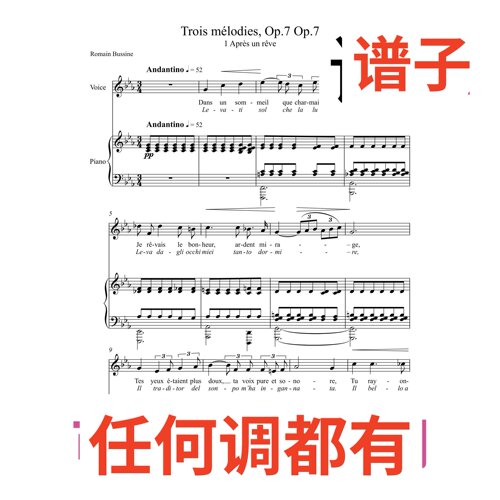Après un Rêve 梦后 寻梦4bE伴奏谱正谱声乐