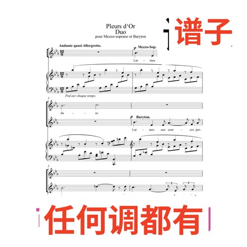 5bE Pleurs d'or伴奏谱正谱声乐