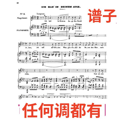 2bA ich hab in deinme suce 舒曼艺术歌曲op13伴奏谱正谱声乐
