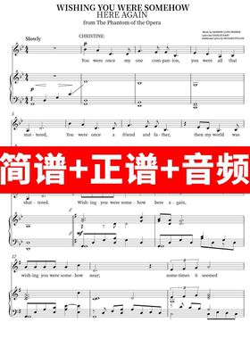 但愿你会重现在眼前 wishing you were somehow here again正谱