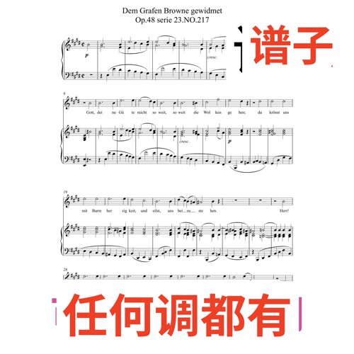 Dem Grafen Browne gewidmet 2伴奏谱正谱声乐