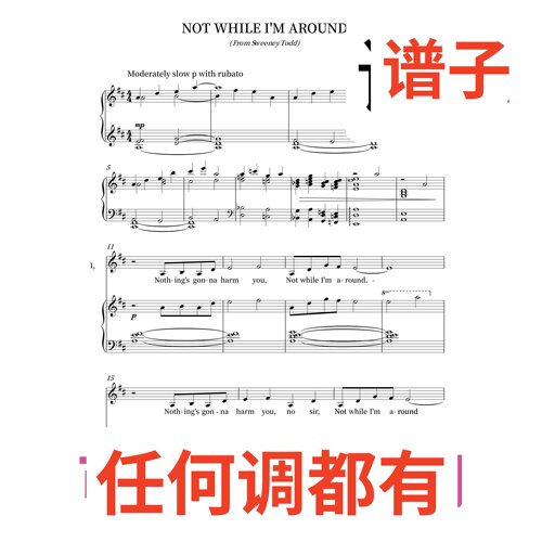 barbra streisand not while im around 5D伴奏谱正谱声乐