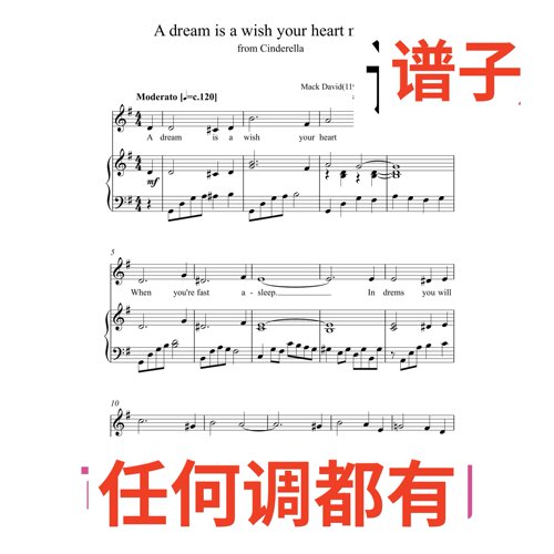 A dream is a wish your heart makes 3G伴奏谱正谱声乐