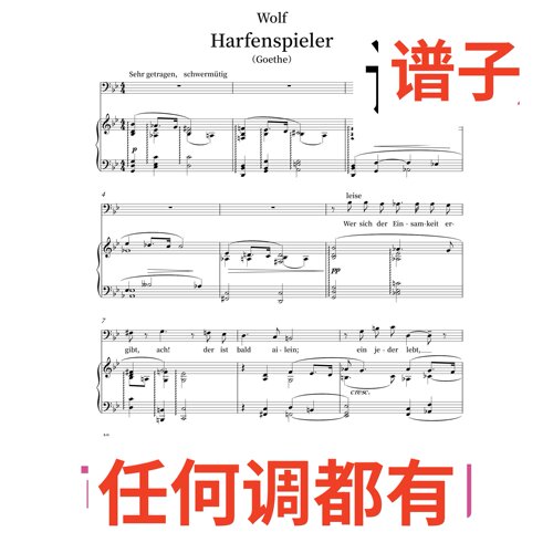 3bB wolf harfenspieler goethe伴奏谱正谱声乐
