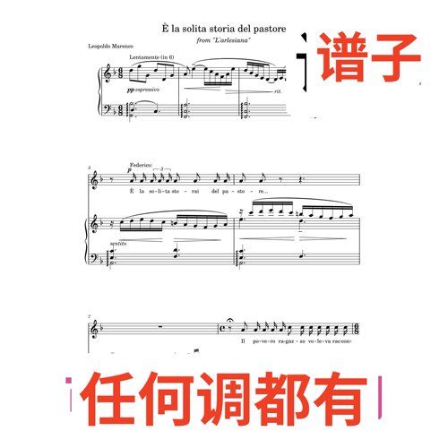 6F E_La_Solita_Storia_Del_Pastore伴奏谱正谱声乐