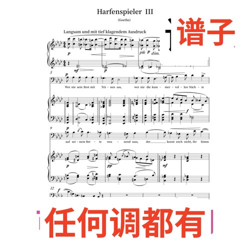 2bA wolf Harfenspieler goethe伴奏谱正谱声乐