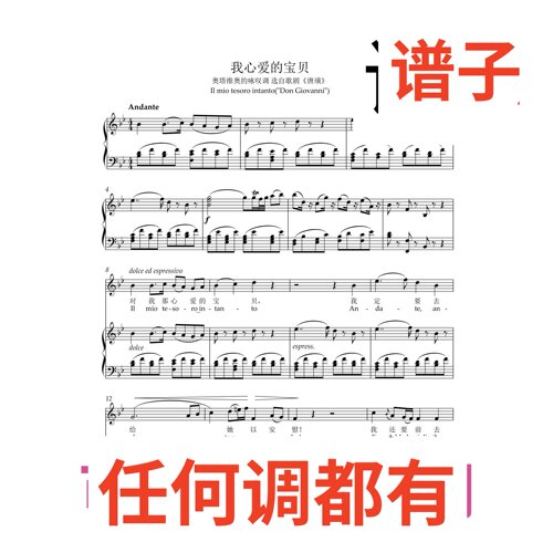 Il mio teso rointanto 我心爱的宝贝 7bB伴奏谱正谱声乐