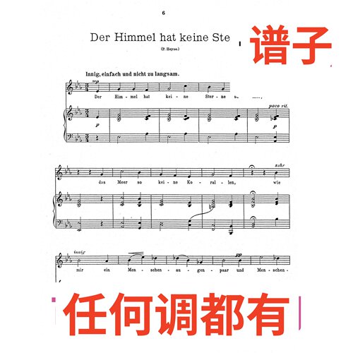 原件bE2  Der Himmel hat keine Sterne伴奏谱正谱声乐