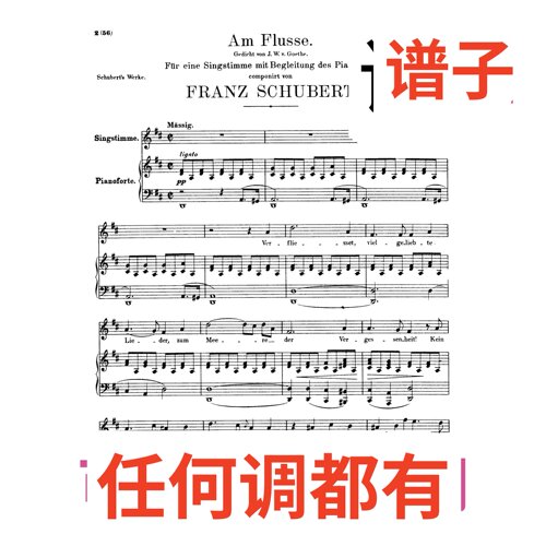 原件D2 Am Flusse, D.766 (Schubert)伴奏谱正谱声乐