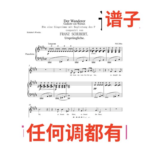 SchubertD489 Der Wanderer 4页E伴奏谱正谱声乐