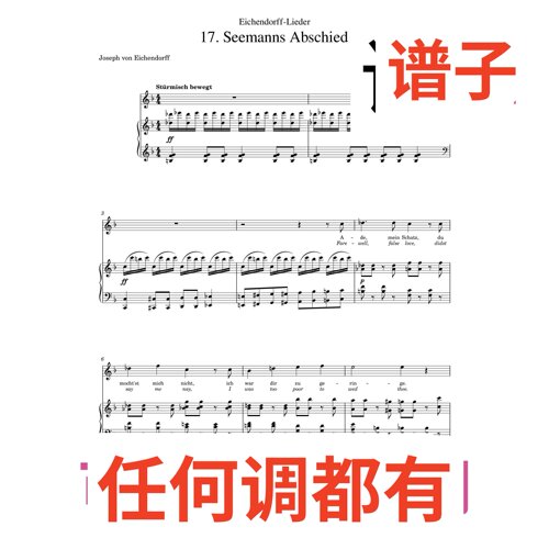 6F Seemans_Abschied伴奏谱正谱声乐