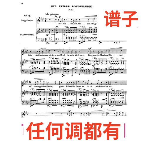 06 die stille lotosblume 2bA伴奏谱正谱声乐
