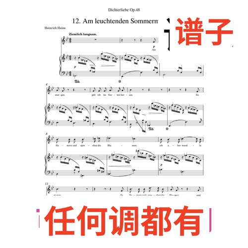 2bB Am_leuchtenden_Sommermorgen伴奏谱正谱声乐