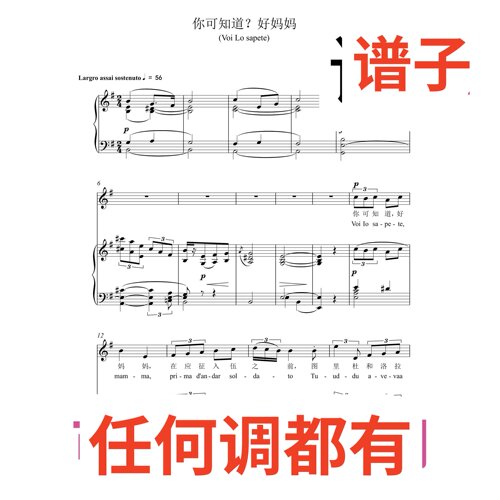voi lo sapete o mamma 6页_G伴奏谱正谱声乐