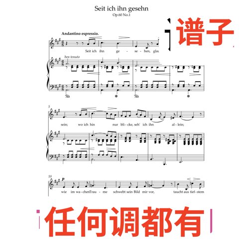 seit ich ihn gesehn3页A伴奏谱正谱声乐