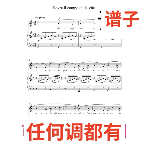 4-Sovra il campo della vita 2F伴奏谱正谱声乐