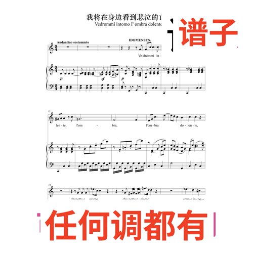 6C 我将在身边看到悲泣的亡魂伴奏谱正谱声乐