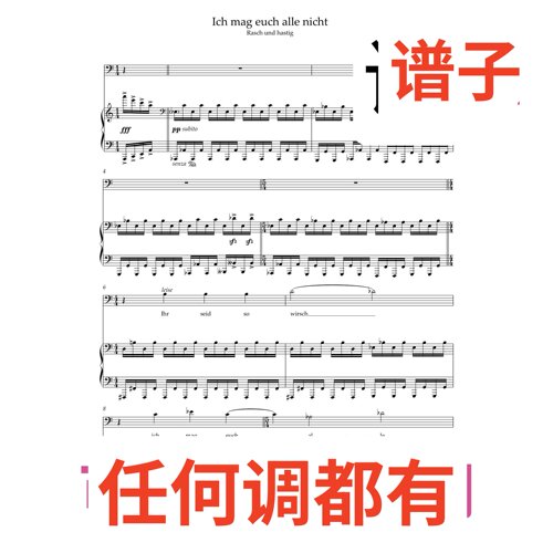 Ich mag euch alle nicht 4C伴奏谱正谱声乐