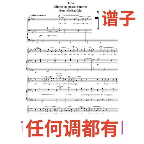 boito giunto sul passo es tremo 2页bA伴奏谱正谱声乐