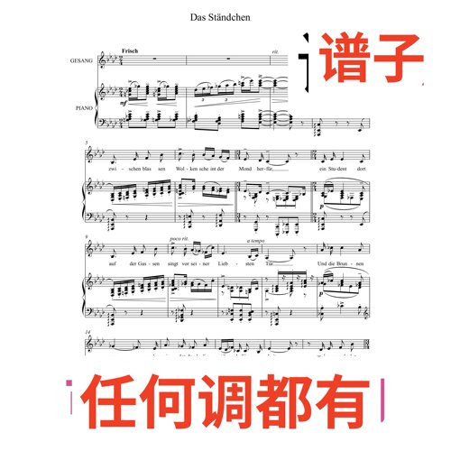 03 das Ständchen Korngold 3bA伴奏谱正谱声乐