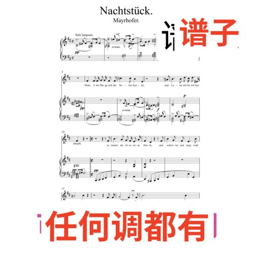 schubert nachtstuck 排版6页D伴奏谱正谱声乐