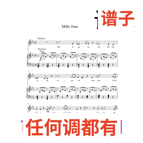 2bE housand tortures Mille Tene 2页伴奏谱正谱声乐