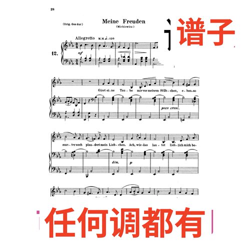 12-meine freuden 3bE伴奏谱正谱声乐