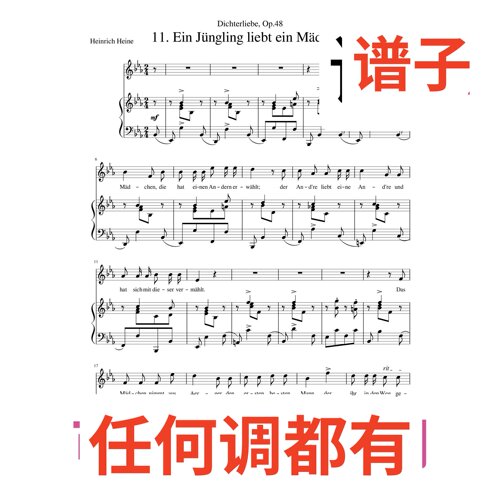 2bE Ein_Jngling_liebt_ein_Mdchen伴奏谱正谱声乐