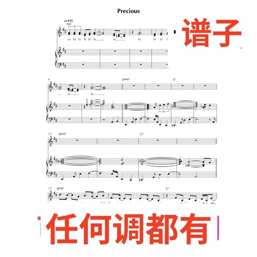 D原调8 Esperanza Spalding Precious伴奏谱正谱声乐