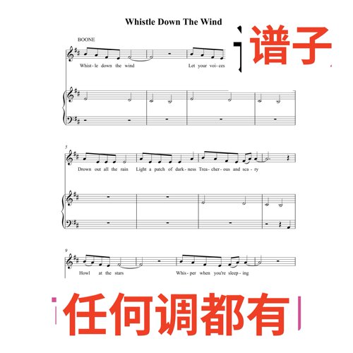 Whistle Down The Wind 6页D伴奏谱正谱声乐