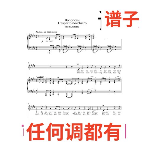 L'esperto nocchiero 7页E伴奏谱正谱声乐