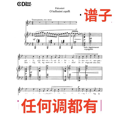 原件bB3 Falconieri O bellissimi capelli伴奏谱正谱声乐