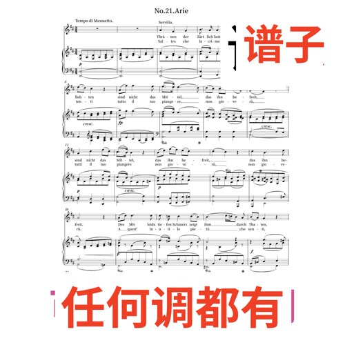 2D S'altro che lagrime 莫扎特伴奏谱正谱声乐