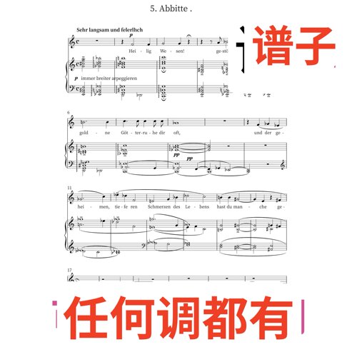 Abbitte Hans Pfitzner 2C伴奏谱正谱声乐