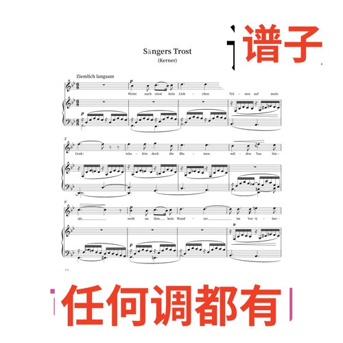 sangers trost 2页bB伴奏谱正谱声乐