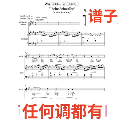 1 Liebe Schwalbe Little' Swallow 4A伴奏谱正谱声乐
