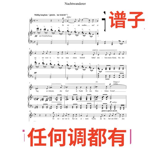 Nachtwanderer korngold 9-2 3页F伴奏谱正谱声乐