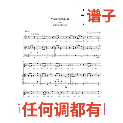 3F vadoro pupille 3页伴奏谱正谱声乐