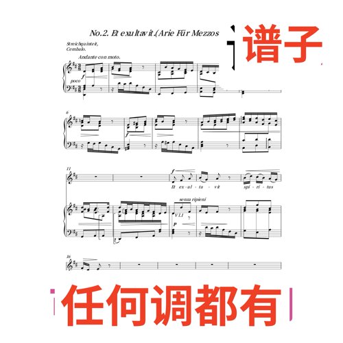 D4 Et exultavit.(Arie Für Mezzosopran.)伴奏谱正谱声乐