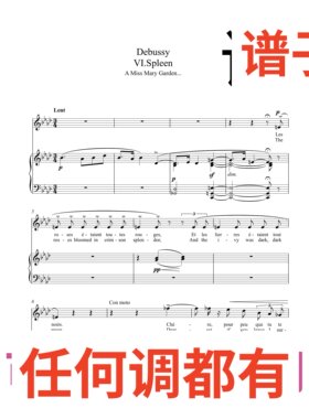 Spleen a miss mary garden 3bA伴奏谱正谱声乐