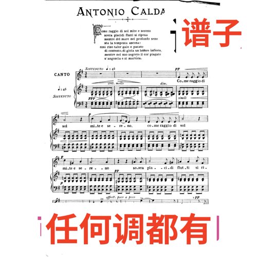 原件G2 Come raggio di sol (Caldara)伴奏谱正谱声乐