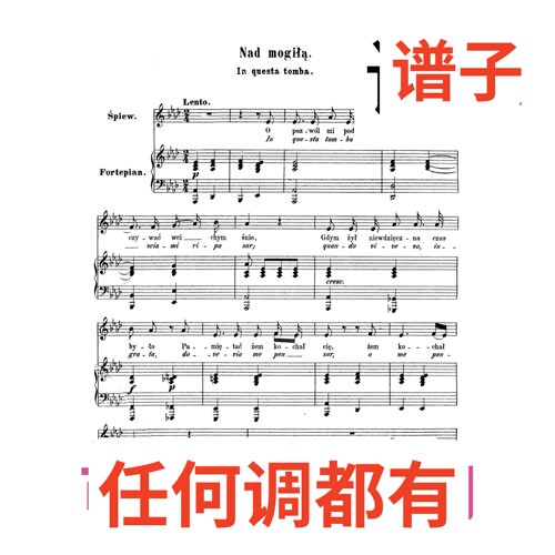 nad mogita in questa tomba 3bA伴奏谱正谱声乐