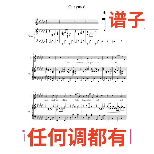 bG7 甘尼美Schubert_Ganymed伴奏谱正谱声乐