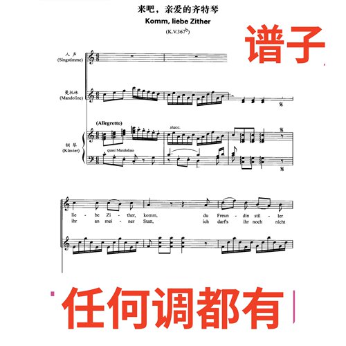 3C Komm,liebe Zither(K.V.367伴奏谱正谱声乐