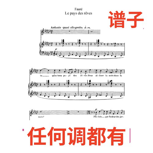 03 le pays des reves 6bG伴奏谱正谱声乐