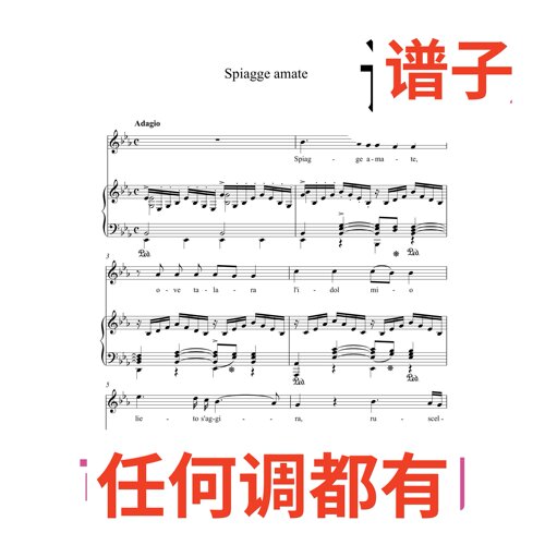 4bE Spiagge amate伴奏谱正谱声乐
