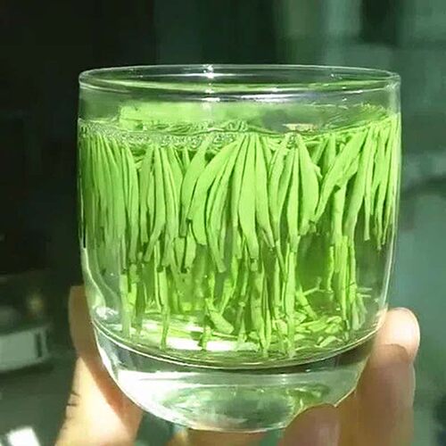 2026全芽雀舌鲜嫩上市