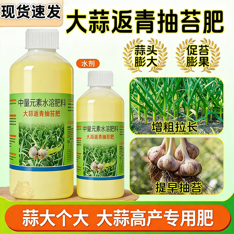 大蒜返青抽苔肥大蒜专用肥出苔齐蒜苔粗蒜头大易抽苔早抽苔增产