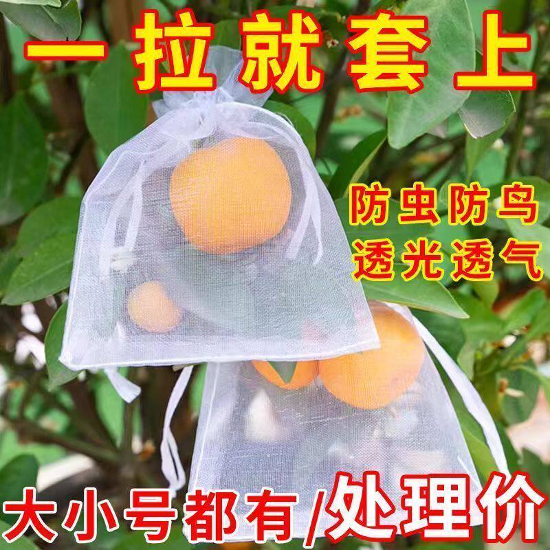 水果套袋防鸟防虫专用网袋西红柿番茄葡萄草莓无花果尼龙套袋保护